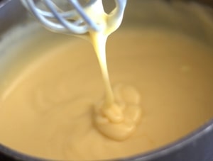 Creams and Pastes Used By Bakers & Pastry Chefs - Bavarian Cream