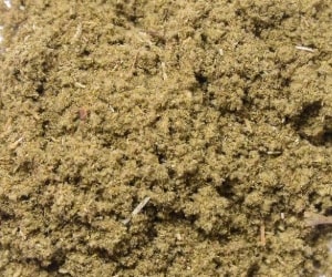 Sage - Types of Herbs and Spices | Definition of Herbs and Spices.