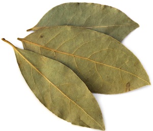 Bay Leaf - Types of Herbs and Spices | Definition of Herbs and Spices.