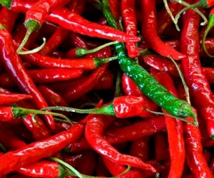 Cayenne - Types of Herbs and Spices | Definition of Herbs and Spices.