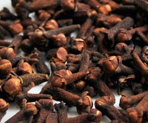 Clove - Types of Herbs and Spices | Definition of Herbs and Spices.