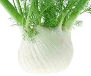 Fennel - Types of Herbs and Spices | Definition of Herbs and Spices.