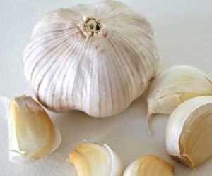 Garlic - Types of Herbs and Spices | Definition of Herbs and Spices.