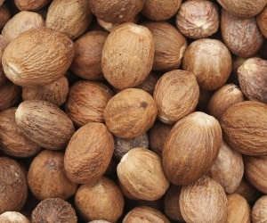Nutmeg - Types of Herbs and Spices | Definition of Herbs and Spices.