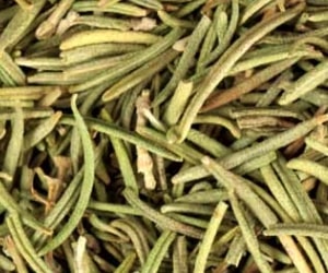 Rosemary - Types of Herbs and Spices | Definition of Herbs and Spices.