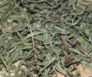 Savory - Types of Herbs and Spices | Definition of Herbs and Spices.