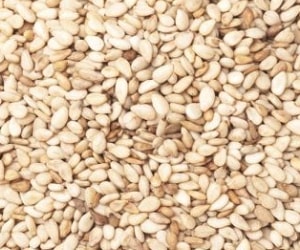 Sesame - Types of Herbs and Spices | Definition of Herbs and Spices.