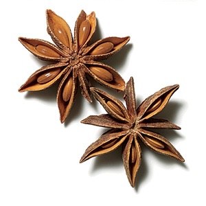 Anise - Types of Herbs and Spices | Definition of Herbs and Spices.
