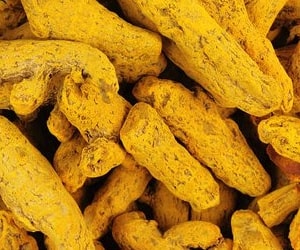 Turmeric - Types of Herbs and Spices | Definition of Herbs and Spices.