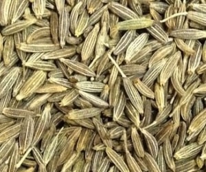 Cumin (Cuminum cyminum) is a spice that comes from the seeds of the cumin plant, a member of the parsley family. Cumin is widely used in various cuisines for its warm, earthy, and slightly citrusy flavor. Here are some key points about cumin:

Flavor Profile:
Taste: Cumin has a warm, aromatic, and slightly nutty flavor.

Aroma: It has a distinctive and strong aroma.

Culinary Uses:
Spice Blends: Cumin is a key ingredient in many spice blends, including curry powder, garam masala, and taco seasoning.

Mexican Cuisine: It is a staple in Mexican and Tex-Mex dishes such as chili, tacos, and enchiladas.

Indian Cuisine: Cumin is extensively used in Indian cuisine, particularly in curries, dal, and spice blends like masalas.

Middle Eastern Cuisine: Cumin is a common spice in Middle Eastern dishes, including falafel, hummus, and various meat dishes.

Rice and Grains: It is often used to flavor rice, couscous, and other grains.

Appearance:
Seeds: Cumin seeds are small, elongated, and ridged with a brownish color.
Health Benefits:
Digestive Health: Cumin is believed to aid in digestion and has been used traditionally for its potential digestive benefits.

Antioxidant Properties: Cumin contains antioxidants that contribute to its potential health benefits.

Storage:
Store cumin seeds or ground cumin in a cool, dark place in an airtight container to preserve their flavor.
Cumin is a versatile spice that adds depth and richness to a wide variety of dishes. Its warm and earthy flavor makes it a popular choice in many culinary traditions around the world. Whether used in spice blends, meat dishes, or vegetarian recipes, cumin is valued for its ability to enhance the overall flavor profile of a dish.