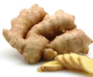 Ginger (Zingiber officinale) is a flowering plant whose rhizome, commonly known as ginger root, is widely used as a spice, flavoring agent, and traditional medicine. It belongs to the Zingiberaceae family, which also includes turmeric and cardamom. Here are some key points about ginger:

Culinary Uses:
Flavor Profile:

Ginger has a warm, pungent, and slightly sweet flavor with a hint of citrus. It adds a distinctive taste to both sweet and savory dishes.
Forms:

Ginger is available in various forms, including fresh ginger root, dried ginger powder, pickled ginger, crystallized ginger, and ginger oil.
Cooking Methods:

Ginger can be used in a variety of cooking methods, including grating, slicing, mincing, or using it in the form of a paste. It can be added to stir-fries, soups, curries, marinades, and baked goods.
Beverages:

Ginger is used to make ginger tea, ginger ale, and other beverages. It is a common ingredient in traditional chai blends.
Medicinal Uses:
Anti-Inflammatory Properties:

Ginger contains bioactive compounds with anti-inflammatory effects, which may help in managing inflammation.
Digestive Aid:

Ginger is known for its potential to alleviate nausea, aid digestion, and reduce symptoms of motion sickness.
Cold and Flu Relief:

Ginger tea is often consumed to soothe symptoms of colds and flu. It may help relieve sore throat and congestion.
Health Benefits:
Antioxidant Properties: Ginger contains antioxidants that can help neutralize free radicals in the body.

Anti-Nausea: Ginger is known for its anti-nausea properties, making it useful for alleviating nausea caused by various conditions, including pregnancy and chemotherapy.

Pain Relief: Some studies suggest that ginger may have pain-relieving properties and could be beneficial for managing certain types of pain.

Usage Tips:
Fresh Ginger:

Choose ginger with smooth, taut skin. Fresh ginger can be stored in the refrigerator for an extended period.
Ginger Paste:

Ginger paste is a convenient option for quick cooking. It can be found in jars or made by blending fresh ginger with water.
Dried Ginger:

Ground ginger is used in baking and spice blends. However, its flavor is more concentrated than fresh ginger.
Caution:
While ginger is generally safe for most people, excessive intake may cause digestive discomfort for some individuals.

Consult with a healthcare professional if you are pregnant, nursing, or have any underlying health conditions before consuming ginger supplements in large amounts.

Ginger's versatility, distinctive flavor, and potential health benefits make it a popular ingredient in various cuisines and traditional remedies worldwide. Whether used in savory dishes, desserts, or beverages, ginger adds a unique and aromatic element to a wide range of recipes.