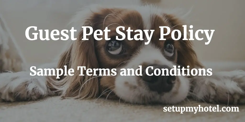 Hotel Guest Pet Stays Policy Sample