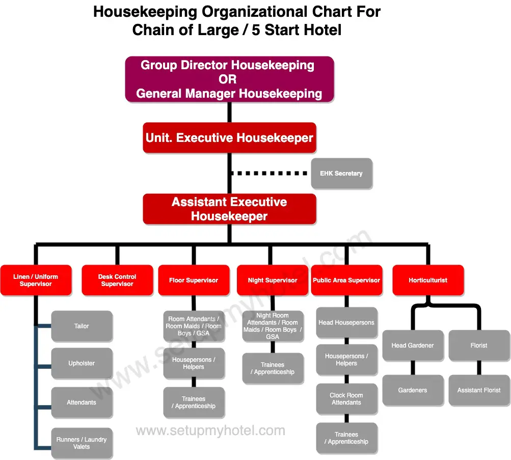 Housekeeping Department Organization Chart Hierarchy Chart for Large Chain hotel. The housekeeping department in a large chain hotel is headed by the Director of Housekeeping or General Manager of Housekeeping. The Executive housekeeper in each unit of the chain hotel will report to the director of housekeeping, who heads the housekeeping departments in all the hotels of that chain.

The deputy housekeeper assists the executive housekeeper and, depending on the size of the property, there can also be assistant housekeepers who look after the various areas of responsibility in the hotel, that is, floors, public areas, the linen room, and desk control.

The Housekeeping Organizational Chart in a large hotel also contains multiple supervisors for each section of the housekeeping the laundry, Desk Control, Floor Supervisor, Public Area Supervisor, Night Supervisor, etc. Each of these supervisors reports to the assistant housekeeper or the Executive housekeeper.

Further down the Housekeeping organizational structure, we have the Room boys, Housekeeping Attendants, Laundry Attendants, Gardeners, Tailors, florists, Trainees, apprentices, etc. Find below the organization chart of the housekeeping department in a large, Five Star or a full-service hotel