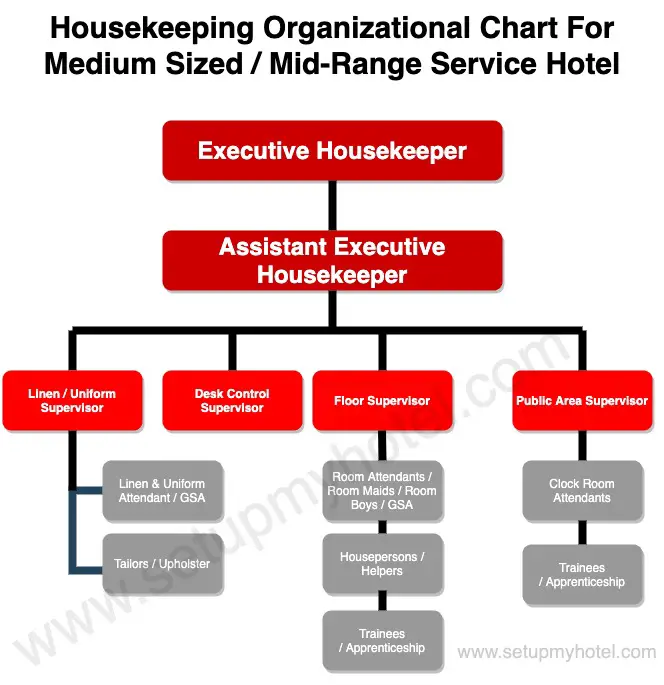 Housekeeping Department Organization Chart Hierarchy Chart for Medium Size Hotel. The housekeeping department in a medium-sized hotel or 3-4 Star Hotel is headed by the executive housekeeper and reports to the general manager. In the case of a chain of hotels, the executive housekeeper also reports to the director of housekeeping, who heads the housekeeping departments in all the hotels of that chain.
