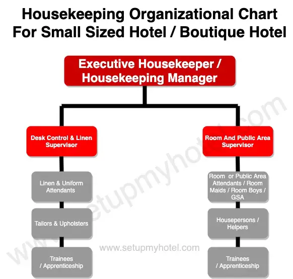 Housekeeping Department Organization Chart Hierarchy Chart for Small Size Hotel. The housekeeping department in a Small hotel or 1-2 2-star hotel is headed by the Executive Housekeeper or a Housekeeping Manager and reports to the general manager. In the case of a chain of hotels, the executive housekeeper also reports to the director of housekeeping, who heads the housekeeping departments in all the hotels of that chain.
