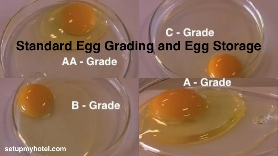 Hotel Standard for Egg Grading and Egg Storage The Grading of eggs is based on several factors. There are four grades of eggs that the cook and baker are concerned with AA, A, B, and C. The age and handling of the gg are the primary determinants of quality. As an egg ages, the white becomes thin and the air cell between the membrane and the shell enlarges. The yolk membrane becomes thinner as the egg ages. This results in a yolk that spreads more and breaks easily. Appearance is not the only thing that is affected as the egg ages. When white thins the albumin protein has lost part of its ability to build and maintain the structure. It will not develop as great a volume when beaten. The stability of the beaten white will be less. The thickening and emulsifying power of the yolk are also reduced significantly. The best grade (AA) has a firm yolk and white that stand up high when broken onto a flat surface and do not spread over a large area. In the shell, the yolk is well-centered, and the air sac is small. As eggs age, they lose density. The thin part of the white becomes larger, and the egg spreads over a larger area when broken. Also, the air sac becomes larger as the egg loses moisture through the shell. In any case, slow deterioration in quality goes on as long as eggs are stored, SO PROMT USE IS THE BEST USE and always follow the FIFO method.