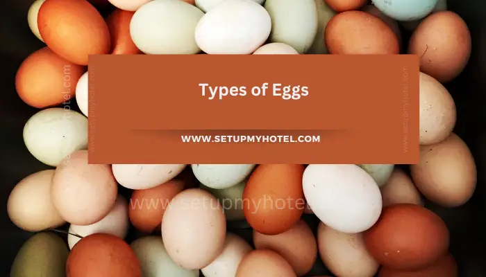 Eggs are a staple in many households and come in different varieties. The most commonly consumed eggs are chicken eggs, which are available in different sizes and colors. Brown eggs are often believed to be healthier than white eggs, but this is a misconception. The color of the eggshell is determined by the breed of chicken and has no effect on the nutritional value of the egg. Aside from chicken eggs, other types of eggs are also available. Duck eggs have a larger yolk and a thicker shell, which makes them ideal for baking. Quail eggs are much smaller than chicken eggs and have a distinct flavor that is often described as buttery. They are commonly used in Asian cuisine and are a great addition to salads or served as a snack. For those who have dietary restrictions, there are also alternative types of eggs available. Vegan eggs are made from plant-based ingredients and are a great alternative for those who are allergic to eggs or follow a vegan diet. These eggs can be used in cooking and baking just like regular eggs. No matter what type of egg you choose, they are a great source of protein and essential nutrients. Incorporating eggs into your diet can provide numerous health benefits and add variety to your meals.